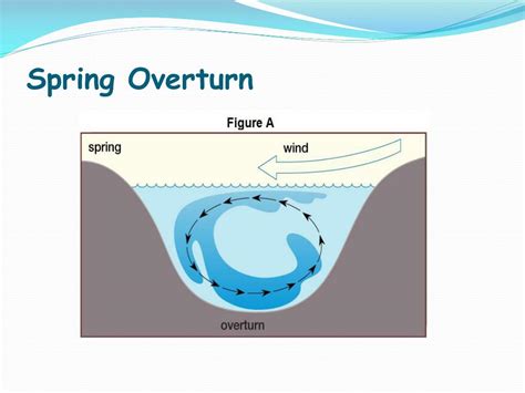 Spring Overturn Definition