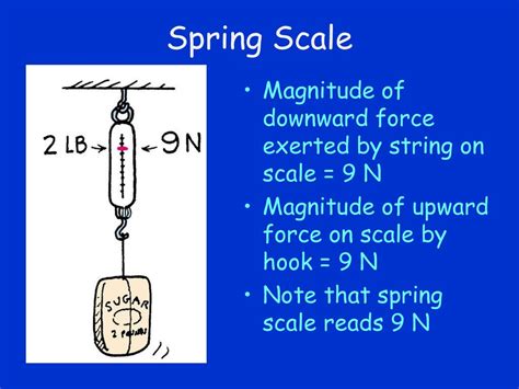 Spring Scale Force Applied