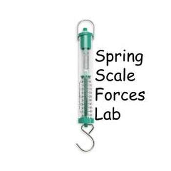 Spring Scale Interactive