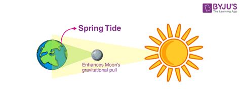 Spring Tide Definition Ocean