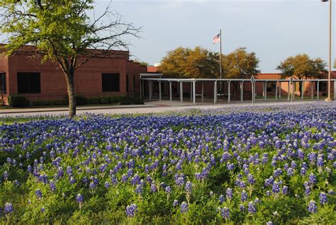 Spring Valley Elementary School Hewitt Tx