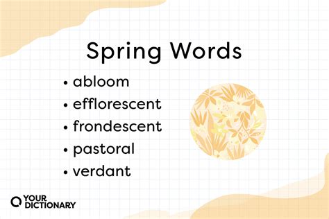 Spring Vocab Definition