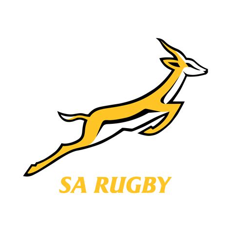 springbok rugby images free