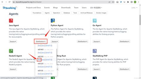 springboot skywalking