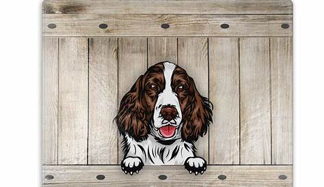 Springer Spaniel Christmas Ornaments