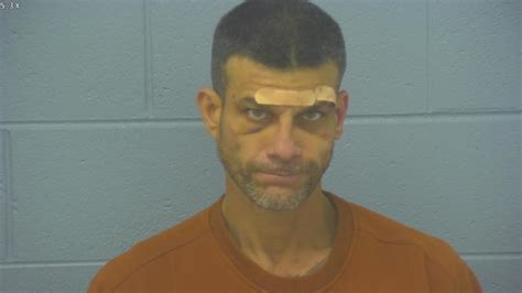 springfield mugshots greene county