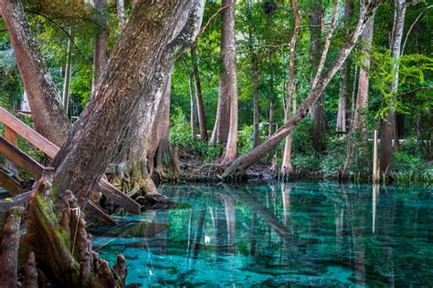 Miami Springs Named One of the "50 Safest Cities in Florida" City of