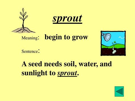 Sprout Definition In Simple Words