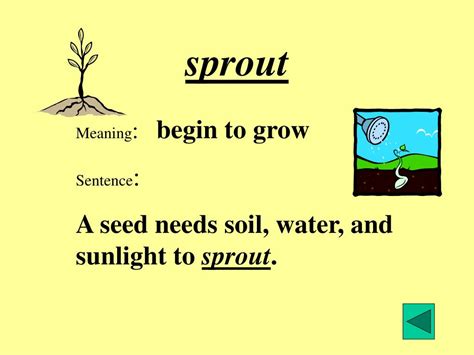 sprout meaning in tagalog