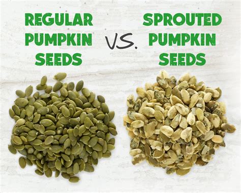 Harvested For You USDA Organic Sprouted Pumpkin Seeds 22 Oz EXP 1/22/21
