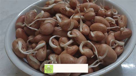 a simple real food recipe batch cooking pintos sprouted refried