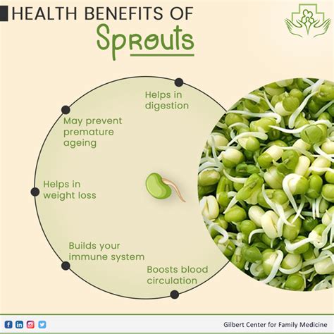 Sprouts Benefits