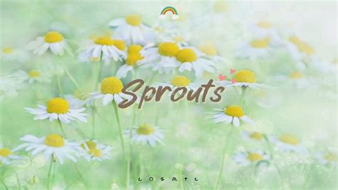 sprouts rosarrie