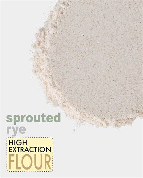 Sprouts Rye Flour