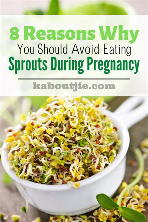 sprouts safe during pregnancy