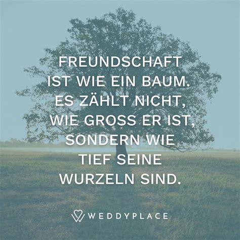 Beliebte Freundschaftssprüche Sprüche über die Freundschaft