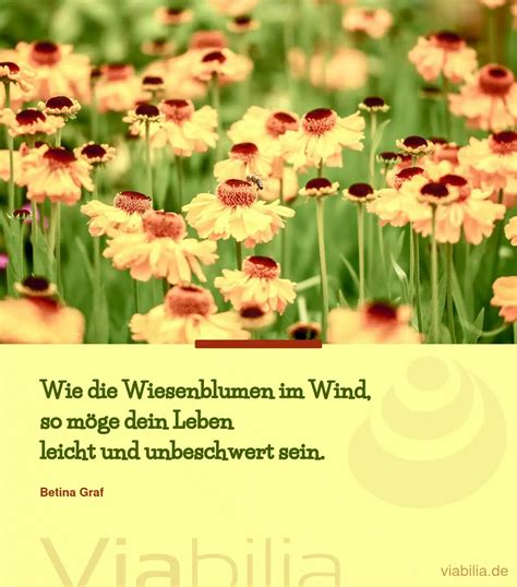 Eine Blume macht sich keine Gedanken darüber, ob sie mit der Blume