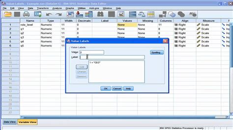 SPSS Label Variable