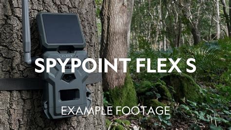 Spypoint Flex G36 Cellular Trail Camera Test and Review
