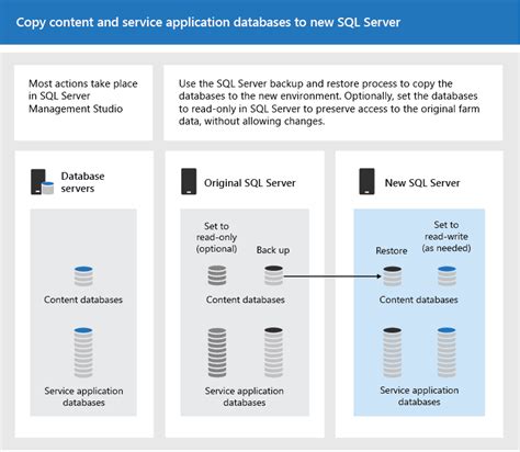 sql server for sharepoint 2019