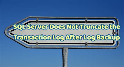 Sql Server Transaction Log Does Not Shrink After Backup