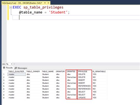 Sql Server View Permissions For User