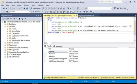 Sql Server View User Roles