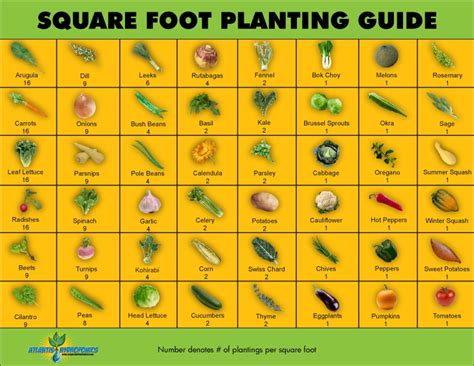 Calculator Plants Per Square Foot