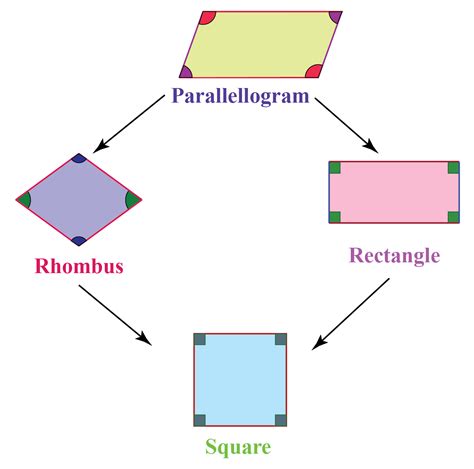 Square Rectangle Rhombus