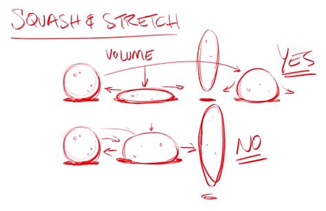 Squash and Stretch Animation Principle