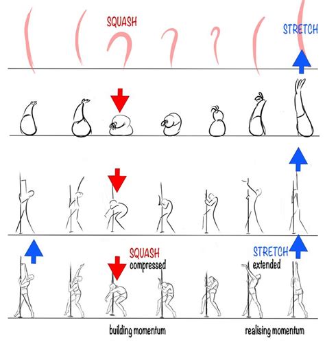 Squash And Stretch Animation Principle