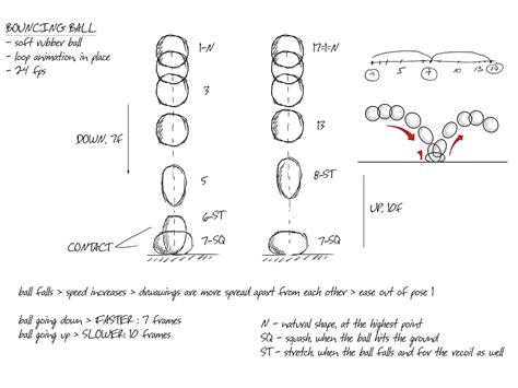 Squash And Stretch Ball