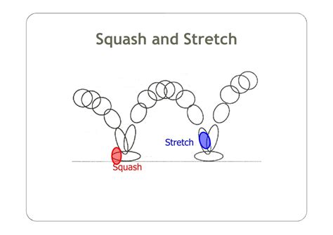 Squash And Stretch Computer Meaning