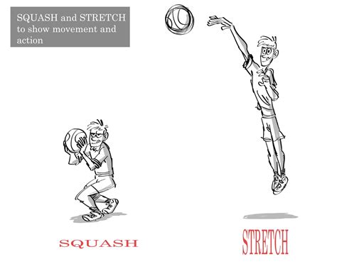 Squash And Stretch Full Definition