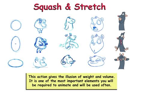 Squash And Stretch Simple Definition