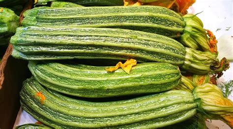 Squash Long And Fine