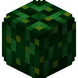 Squash Recipes Hypixel Skyblock