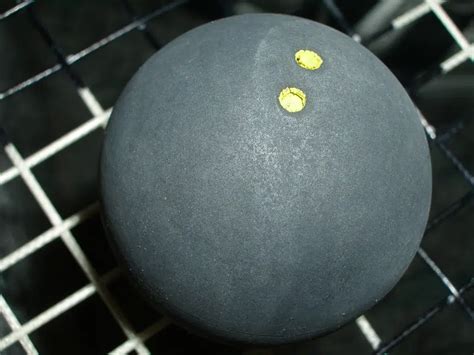 Squash Single Or Double Dot