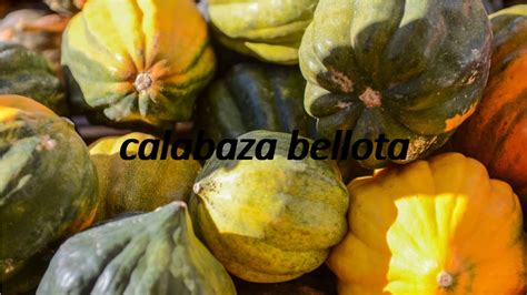 Squash Something In Spanish