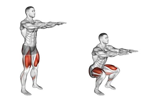 Squats exercise