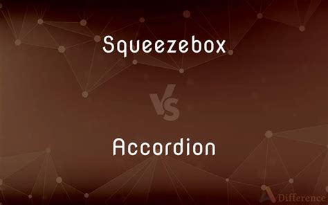 Squeezebox Vs Accordion