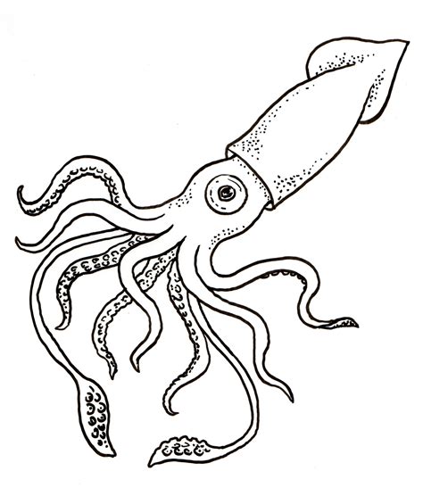 www.vakarai.us:squid coloring pages