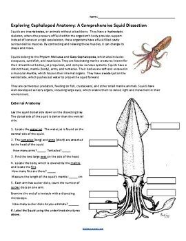 Squid Dissection Lab Answer Key