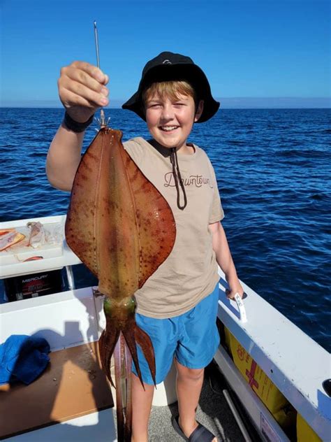 squid regulations wa