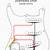 squier guitar wiring diagram