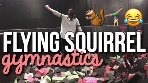 squirrel gymnastics