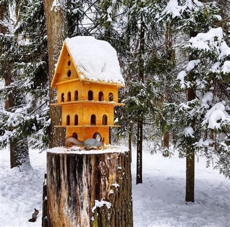 DIY Yard Decorations, Squirrel House Designs to Build and Feed Animals