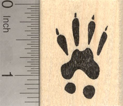 Buy Grey Squirrel Paw Print Foot Track Decal Sticker Online