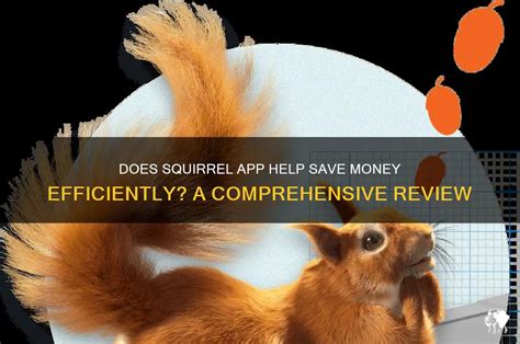 Squirrel App Review