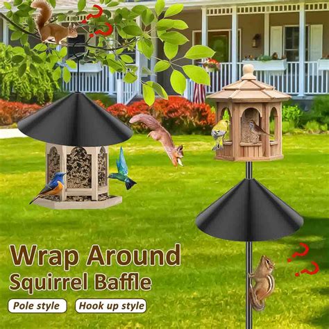 Squirrel Bird Feeder Deterrent